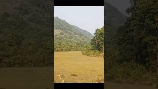 #Kamakhya to coochBehar#shortvideo #travel #train journey