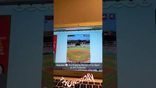 Baseball ⚾️ Pro Enjoying Always a Fun Sport on the Computer