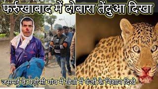 फर्रुखाबाद में दोबारा तेंदुआ दिखा||जसमई गांव में तेंदुआ||फर्रुखाबाद leopard new