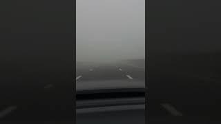 #first fog in Delhi #fog virl #omg #today update #weather update 12/11/24 #highway fog Delhi  merut