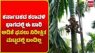 ದಕ್ಷಿಣ ಕನ್ನಡ: ನಿರೀಕ್ಷಿತ ಮಟ್ಟದಲ್ಲಿಲ್ಲ ಅಡಿಕೆ ಫಸಲು; ಕೊಳೆ ರೋಗದಿಂದ ಕೃಷಿಕರು ಕಂಗಾಲು - ಮಾರುಕಟ್ಟೆ ದರ ಎಷ್ಟಿದೆ?