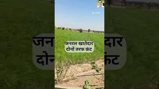 17 बिघा जमीन छतरगढ़ में बिकाऊ है।