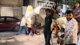 Fuleku ,wedding, surat , horse