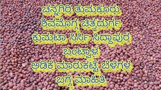 ಅಡಿಕೆ ವಿವಿಧ ಮಾರುಕಟ್ಟೆಯ  ಬೆಲೆ | arecanut price today shivamogga, channagiri,tumakur, market rates