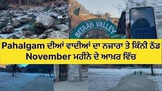 Pahalgam ਦੀਆਂ ਵਾਦੀਆਂ ਤੇ ਕਿੰਨੀ ਠੰਡ November ਮਹੀਨੇ ਦੇ ਆਖ਼ਰ ਵਿੱਚ । Pahalgam Valleys | Punjabi Vlogs