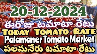 పలమనేరు 🍅🍅🍅టమాటో మార్కెట్ ధరలు 20-12-2024 ||ఈ రోజు టమోటా ధర Palamaner Market||ckgowthamvlogs