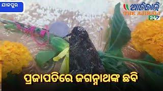 ପ୍ରଜାପତିରେ ଜଗନ୍ନାଥଙ୍କ ଛବି, ଯାଜପୁର