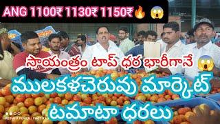 23/11/24 Mulakalacheruvu Tomato Market price Today || Today Tomato Market rate in Mulakalacheruvu