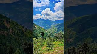 Anni kullu Himachal Pradesh 🕉️🙏cityfresh72 insta id