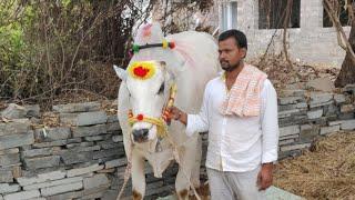 వసంతవరపు మనోజ్,లశ్య పిన్నెల్లి గ్రామం,మాచవరం మండలం,పల్నాడు జిల్లా.