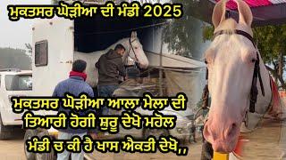 ਮੁਕਤਸਰ 2025 ਘੋੜੀਆ ਆਲੇ ਮੇਲੇ ਦੀ ਤਿਆਰੀ ਹੋਗੀ ਸ਼ੁਰੂ ਦੇਖੋ ਮਹੋਲ ਕਿ ਹੈ ਇਸਵਾਰ ਵੱਖਰਾ | Muktsar Maghi Mela 2025