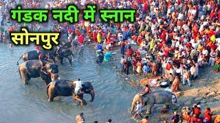 सोनपुर मेला के गंडक नदी में स्नान ||  sonpur mela gandak nadi || sonpur mela || sonpur