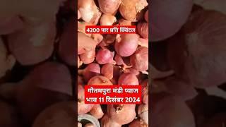 गौतमपुरा मंडी प्याज भाव 11 दिसंबर 2024