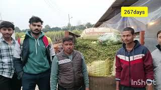 आजकी गौचारा सेवा भाईराजकुमार जी पूनमकश्यप अमरीशसैनी दिल्ली से दुष्यंतशर्मा हरिद्वार से रमेश चंद जी