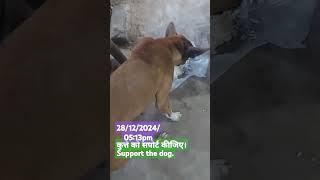 #कुत्ते को सपोर्ट कीजिए।#Support the dog.