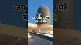 डमरूघाटी गाडरवारा जय हो भोलेनाथ 😊#minivlog #shortvideo #shortvideoformat #pny mini vlog