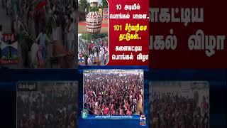 10 அடியில் பொங்கல் பானை...101 சீர்வரிசை தட்டுகள்... களைகட்டிய  பொங்கல் விழா