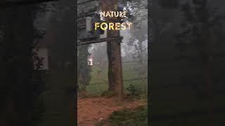 Nature of Gudalur | Heaver Gudalur |