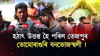 তেজপুৰ ভূমোৰাগুৰীত বন বিভাগৰ কেলেংকাৰী! 😱 Illegal Syndicate Exposed |