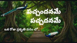 ప్రకృతి వనం మన హైదరాబాద్ లో|Must Visit Place in Hyderabad | Family Time|