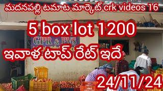 24/11/24 Madanapalle Tomato prices 🍅 మదనపల్లె టమాటా రేట్లు