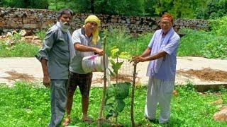 #भुसावर : मोक्षधाम में लगाए 51 से अधिक पौधे, लिया संरक्षण का संकल्प
