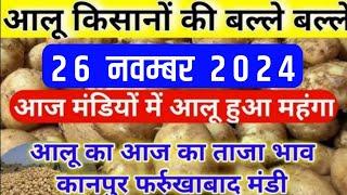 26 November 2024 आलू का आज का भाव कानपुर मंडी, Aalu ka aaj ka bhav, Potato price today in kanpur