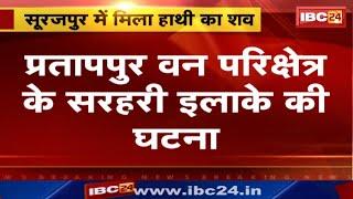 Surajpur Elephant Death : सूरजपुर में फिर से एक बार मिला हाथी का शव | मौत का कारण अज्ञात