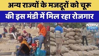 Churu News : अन्य राज्यों के मजदूरों को चूरू की इस मंडी में मिल रहा रोजगार | Latest News | Rajasthan