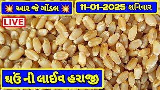 ગોંડલ ઘઉંના ભાવ | 11-01-2025 | Ghav na Bajar bhav | Ghav Na Bhav | RJ GONDAL MARKETING YARD NA BHAV