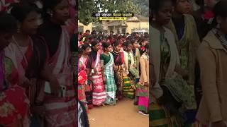 सरी सोहराय मिलन समारोह पोड़ैयाहाट, गोड्डा ##new #santhli #sohray #sort #video 2025//