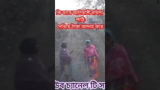 কি ভাবে আদিবাসী মহিলা লাঠি দেখিয়ে টাকা আদায় করে | আদিবাসী | নলহাটি