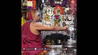 Sri Chandramoulishwara Puja at Guntur | Jagadguru Sannidhanam | Andhra Pradesh Dharma Vijaya Yatra