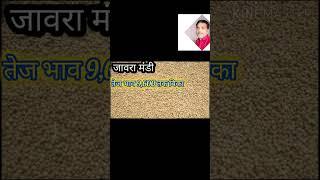 DALODA MANDI BHAV|दलोदा मंडी डालर चने का भाव| Daloda mandi dalar chana ka bhav #Neemuch Mandi Bhav