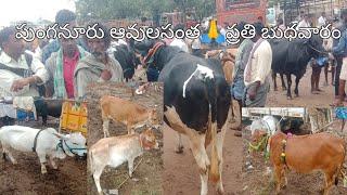 పుంగనూరు ఆవులసంత 🙏 Punganur cows market 🙏 YouTube in Telugu 🙏 viral video