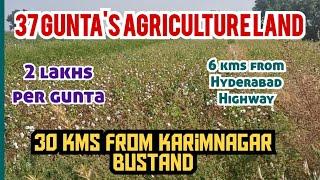 AGRICULTURE LAND 37 GUNTA'S | HYDERABAD HIGHWAY | 60' ROAD | KARIMNAGAR | RENIKUNTA | TELANGANA