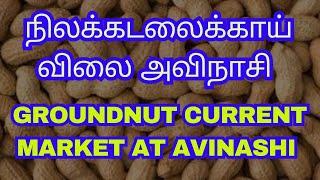 அவிநாசி அருகே நிலக்கடலை காய் ஏலம் | Groundnut Auction At Avinashi | சேவூர் கடலைக்காய் விலை | AQSE