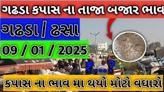 ગઢડા માર્કેગ યાડૅ  લાઇવ હરાજી  / 09 / 1 / 2025 ની હરાજી