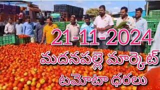 21-11-24#madanapalle tomato market price today