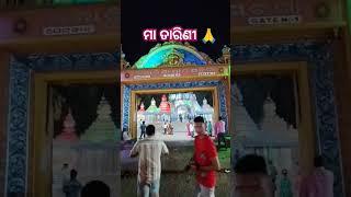 ମା ତାରିଣୀ ପୀଠ, ଘଟଗାଁ #maatarinibhajan # yt shorts