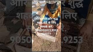 हमारा फार्म समालखा ( पानीपत) मे है