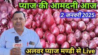 Pyaj की आमदनी आवक और भाव आज अलवर प्याज़ मण्डी राजस्थान/Onion Rate Today Alwar Mandi Rajasthan India