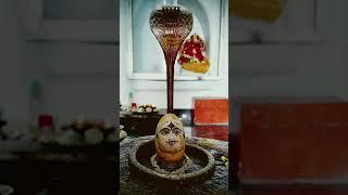 श्री रूद्रमहादेव कोटवा सुंरूमदहर प्रातः सिंगार