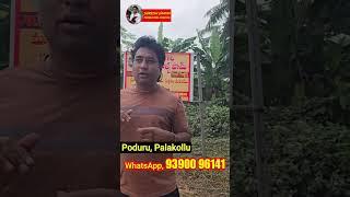 About Rebel Roosters Farm in Poduru, Palakollu