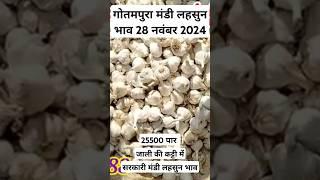 गोतमपुरा मंडी लहसुन भाव 28 नवंबर 2024