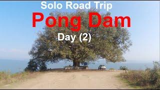 2. Pong Dam Lake, Solo Road Trip...Day (2) Dhaliara-Fatehpur (2nd Dec 2023).