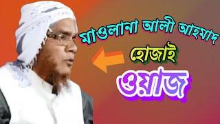 হঠাৎ ওয়াজ মাহফিলে মারপিট আরম্ভ মাওলানা আলী আহমাদ হোজাই || Ali Ahmed Hojai waz Part 2 ||