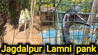 लामनी पार्क जगदलपुर || Jagdalpur park Lamani || Lamani Park Jagdalpur Baster || Eco friendly