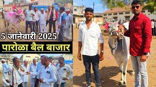 आजचा live 🔴 पारोळा बैल बाजार 5 जानेवारी 2025 || Parola Bail Bajar