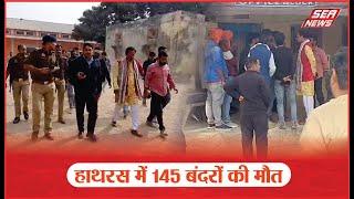 Monkeys Died After Eating Poisonous Food In Fci Warehouse In Hathras : हाथरस में 145 बंदरों की मौत